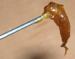 Honey Oil, photo from the Humboldt Sentinel