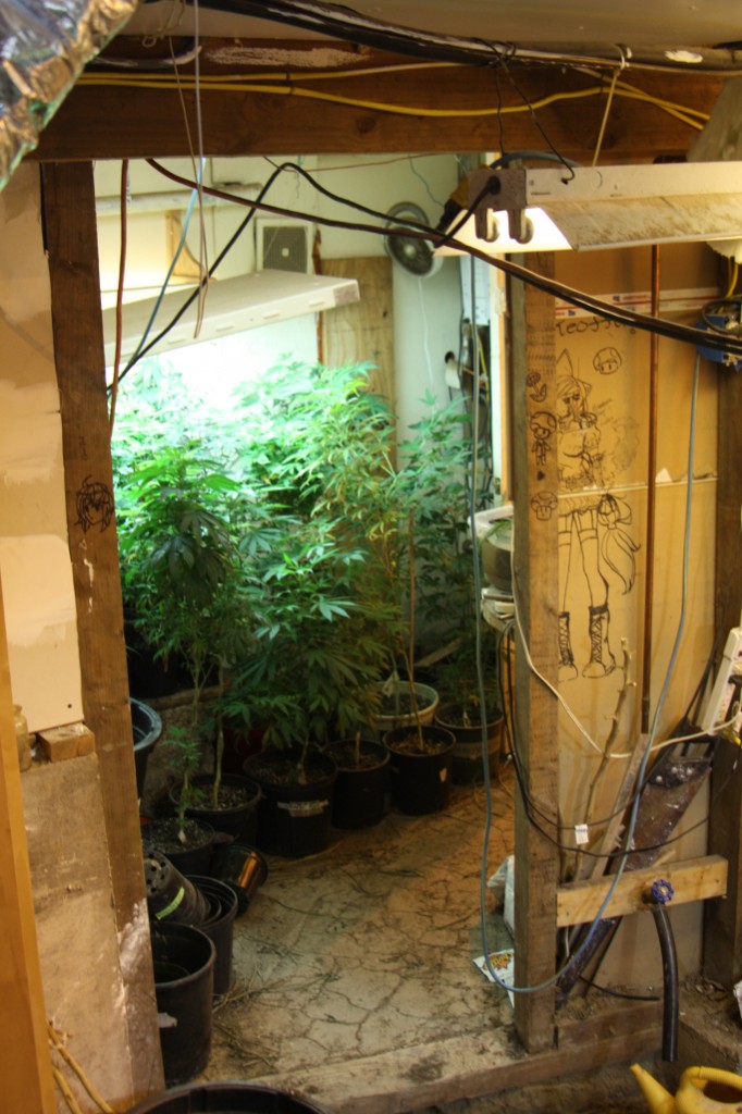 Home grows with hash oil labs, like this one in Puyallup,WA, Above AP Photo/JenniferLinsley420Denver, 2013 