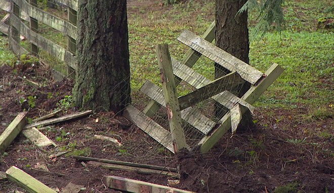 The site of the recent Kitsap County crash that killed 3 teens. The driver survived and faces 300 days in youth detention.
