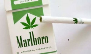 marijuana-cigarettes