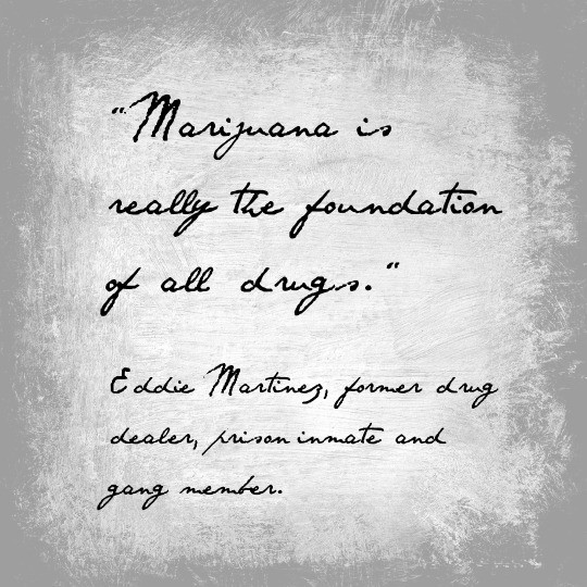 marijuana-testimony