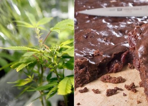 Mass Illnesses Due to Marijuana Edibles, Brownies, Candy