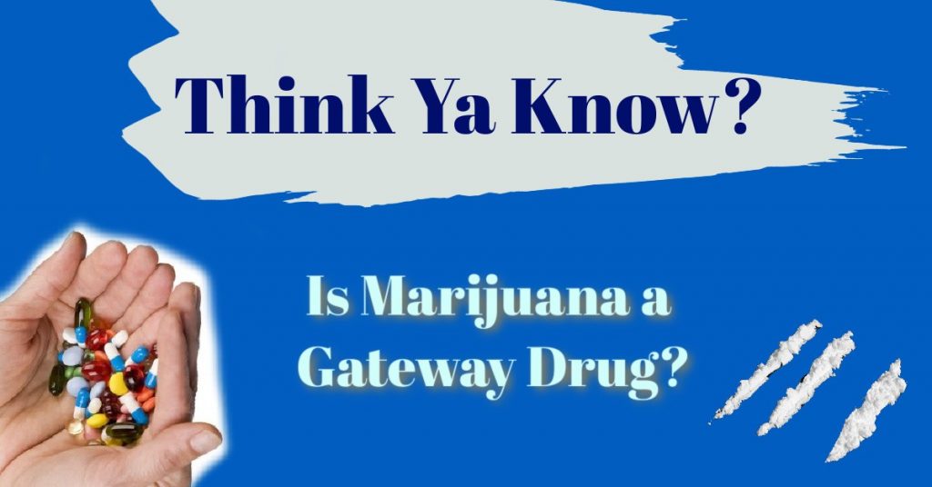 -is-marijuana-gateway