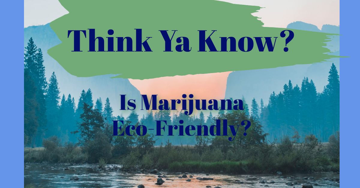 marijuana-environmental-issues